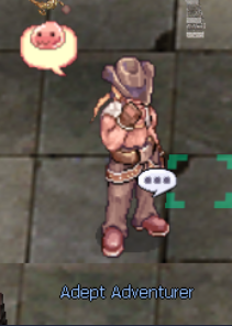 Pet Taming Quest NPC