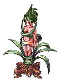 Dryad