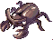 Kind Of Beetle